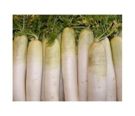 Carotte - Blanche des Vosges - BIO