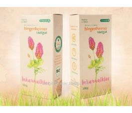 Trèfle Incarnat - BIO