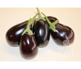 Aubergine - Nero - BIODYNAMIQUE