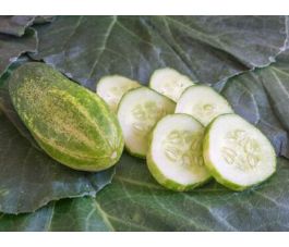 Cornichon, Vorgebirgstrauben, Bingenheimer Saatgut