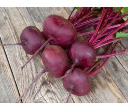 Betterave rouge - Egyptische platronde - BIODYNAMIQUE