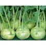 Chou-rave blanc - Noriko - BIODYNAMIQUE - 50% de remise - germination réduite
