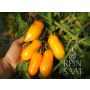 Tomate - Banana Legs - BIODYNAMIQUE