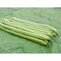 Haricot à rames - Cobra - BIO - 50% remise - germination réduite