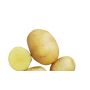 Plants de pomme de terre - Oscar - 30/40 - BIO