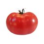Tomate - Berner Rose - BIO