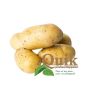 Plants de pomme de terre - Ditta - taille A 28/35 - 1kg - BIO
