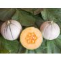 Melon - Murrmel - BIODYNAMIQUE
