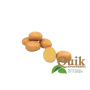 Plants de pomme de terre - Connect - taille A 28/35 - 1kg - BIO