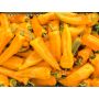 Poivron - Corno Giallo - BIODYNAMIQUE