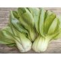Pak Choï - Yorokobi - BIODYNAMIQUE