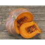 Courge - Muscat de Provence - BIODYNAMIQUE