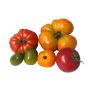 Tomate - Mélange de variétés anciennes - BIO