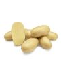 Plants de pomme de terre - Levante - taille A 30/40 - 1kg - BIO