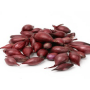 Oignon rouge - Red Baron - taille 10/22 - 500g - BIO
