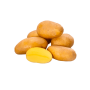 Plants de pomme de terre - Glorietta - taille A 28/30 - 1kg - BIO