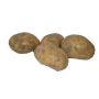 Plants de pomme de terre - Agria - taille A 28/35 - 1kg - BIO