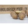 Plants de pomme de terre, Carolus taille 28/35 - 1,38 kg (50 pièces) - BIO - disponible semaine 7