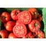 Tomate - Raf - BIODYNAMIQUE