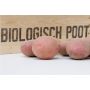 Plants de pomme de terre, Alouette taille 28/35 - 1,38 kg (50 pièces) - BIO - disponible semaine 7