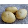 Plants de pomme de terre - Vitabella - taille A 28/35 - 1kg - BIO