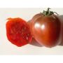 Tomate - Black Prince - BIO