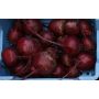 Betterave rouge - Rode kogel - BIO