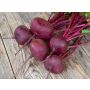 Betterave rouge - Egyptische platronde - BIODYNAMIQUE